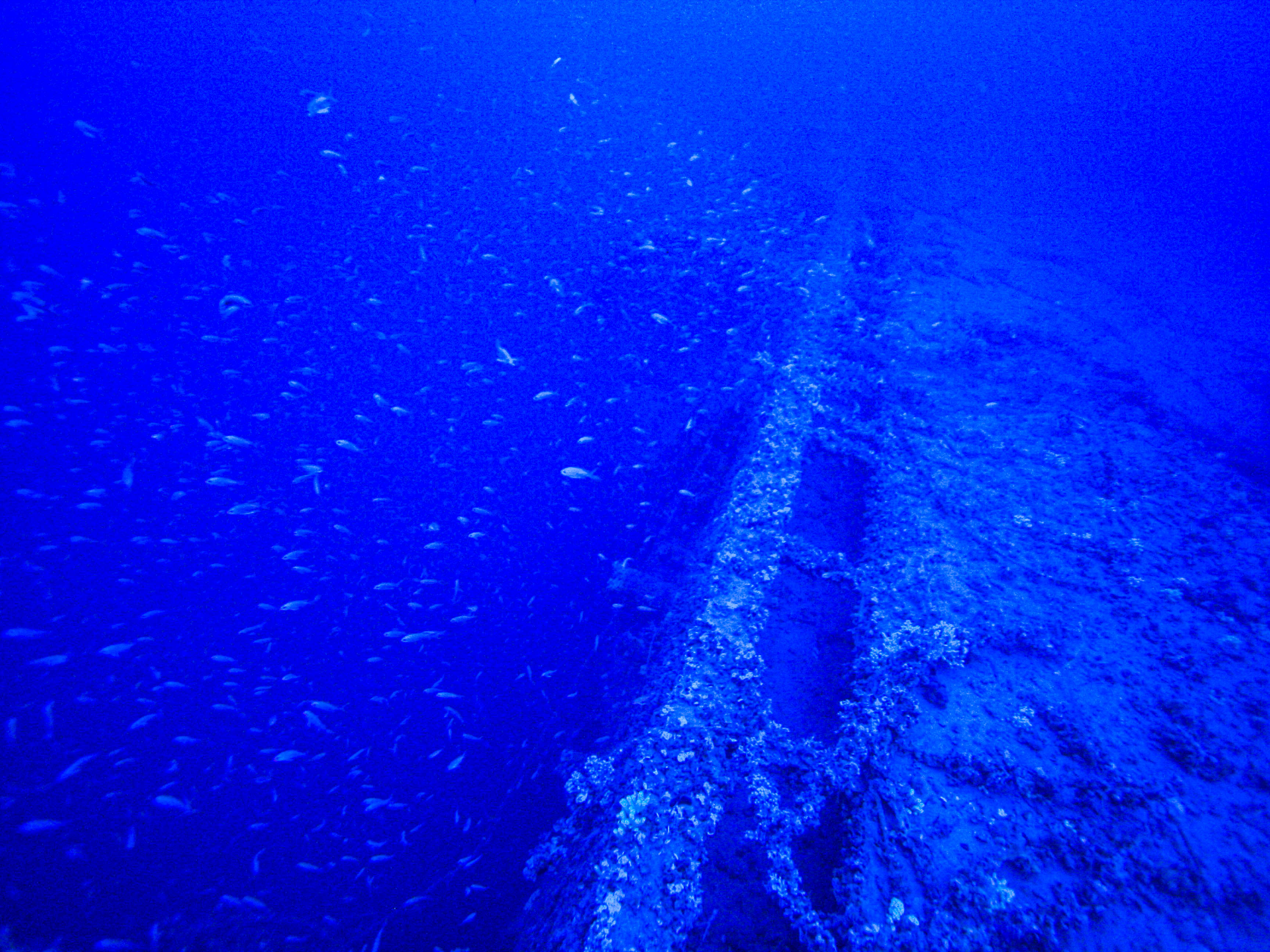 Relitto TIRPITZ